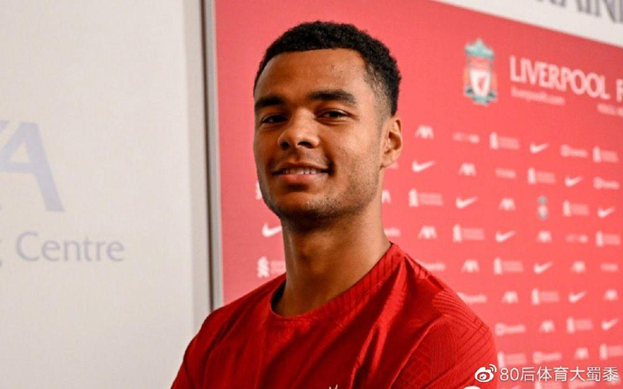 通过细腻的 通过细腻的